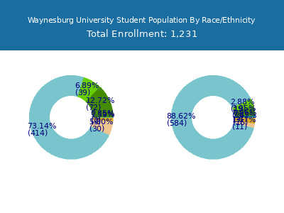 Waynesburg University 2025 Student Population by Gender and Race chart