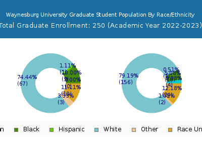 Waynesburg University 2023 Graduate Enrollment by Gender and Race chart