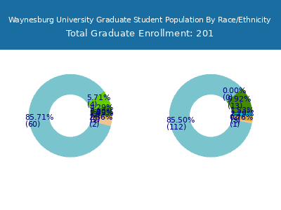 Waynesburg University 2025 Graduate Enrollment by Gender and Race chart