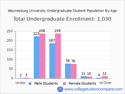 Waynesburg University 2024 Undergraduate Enrollment by Age chart