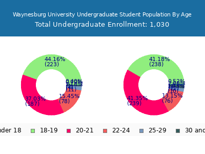 Waynesburg University 2024 Undergraduate Enrollment Age Diversity Pie chart