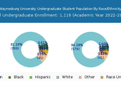 Waynesburg University 2023 Undergraduate Enrollment by Gender and Race chart