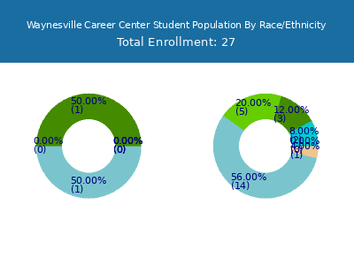 Waynesville Career Center 2025 Student Population by Gender and Race chart