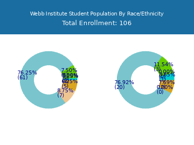 Webb Institute 2025 Student Population by Gender and Race chart