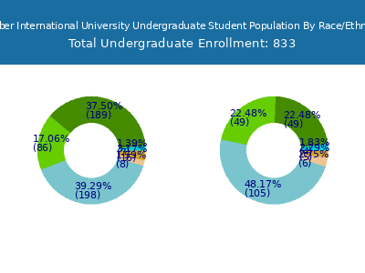 Webber International University 2025 Undergraduate Enrollment by Gender and Race chart
