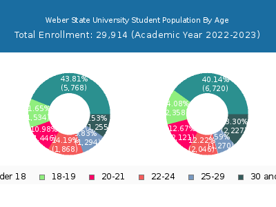Weber State University 2023 Student Population Age Diversity Pie chart