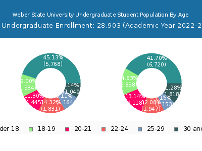 Weber State University 2023 Undergraduate Enrollment Age Diversity Pie chart