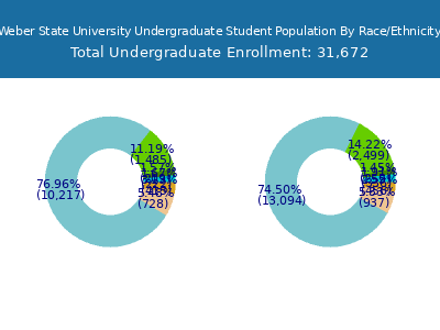 Weber State University 2025 Undergraduate Enrollment by Gender and Race chart