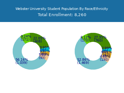 Webster University 2025 Student Population by Gender and Race chart
