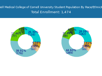 Weill Medical College of Cornell University 2025 Student Population by Gender and Race chart