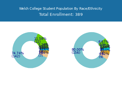 Welch College 2025 Student Population by Gender and Race chart
