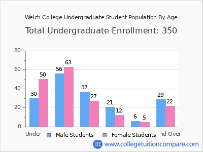 Welch College 2024 Undergraduate Enrollment by Age chart