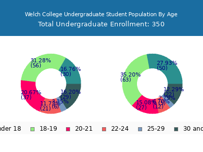 Welch College 2024 Undergraduate Enrollment Age Diversity Pie chart