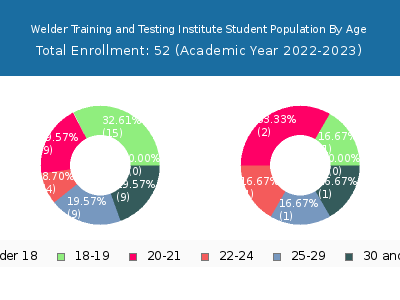 Welder Training and Testing Institute 2023 Student Population Age Diversity Pie chart