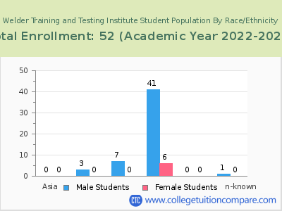 Welder Training and Testing Institute 2023 Student Population by Gender and Race chart