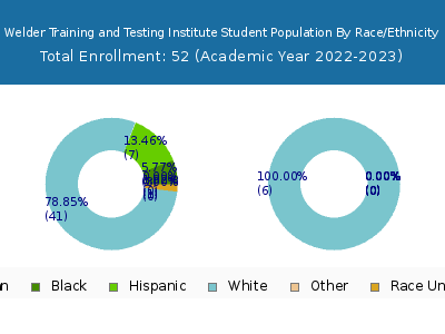 Welder Training and Testing Institute 2023 Student Population by Gender and Race chart