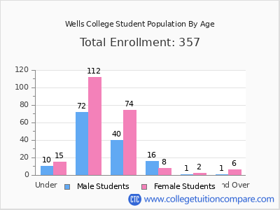 Wells College 2024 Student Population by Age chart