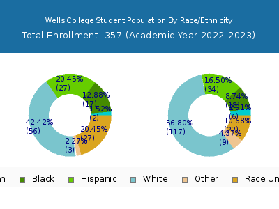 Wells College 2023 Student Population by Gender and Race chart
