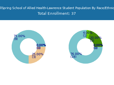WellSpring School of Allied Health-Lawrence 2025 Student Population by Gender and Race chart