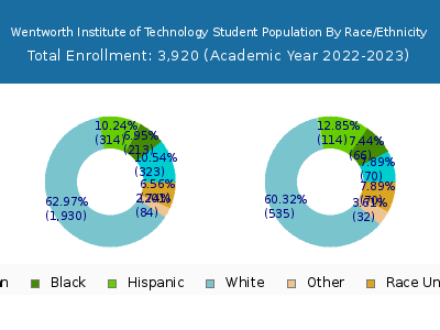 Wentworth Institute of Technology 2023 Student Population by Gender and Race chart