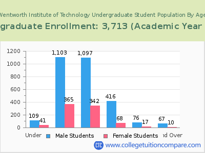 Wentworth Institute of Technology 2023 Undergraduate Enrollment by Age chart