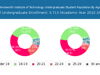 Wentworth Institute of Technology 2023 Undergraduate Enrollment Age Diversity Pie chart