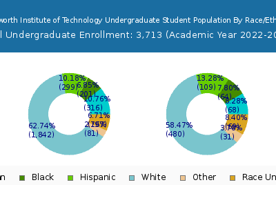 Wentworth Institute of Technology 2023 Undergraduate Enrollment by Gender and Race chart