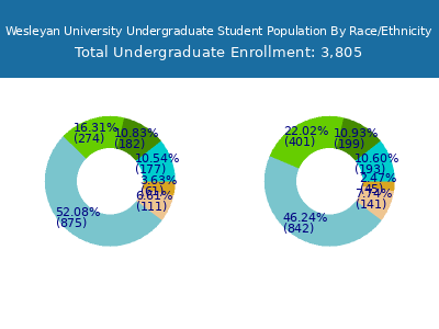 Wesleyan University 2025 Undergraduate Enrollment by Gender and Race chart