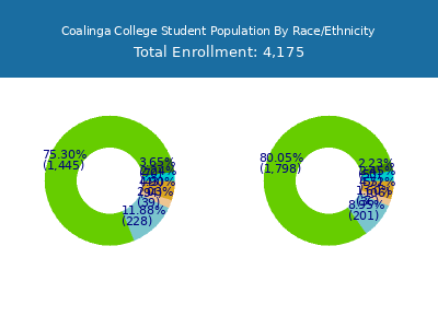 Coalinga College 2025 Student Population by Gender and Race chart