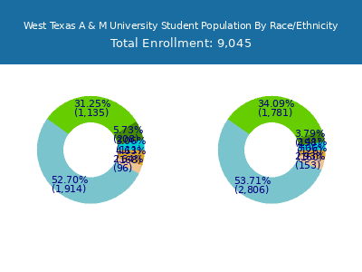 West Texas A & M University 2025 Student Population by Gender and Race chart