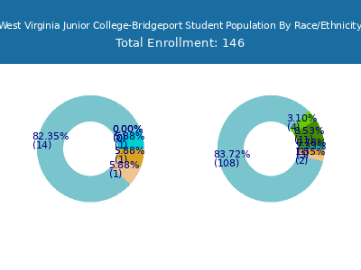 West Virginia Junior College-Bridgeport 2025 Student Population by Gender and Race chart