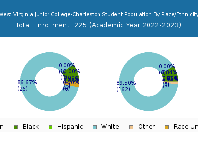 West Virginia Junior College-Charleston 2023 Student Population by Gender and Race chart