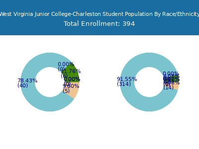 West Virginia Junior College-Charleston 2025 Student Population by Gender and Race chart