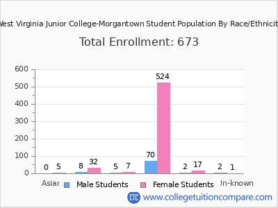 West Virginia Junior College-Morgantown 2025 Student Population by Gender and Race chart