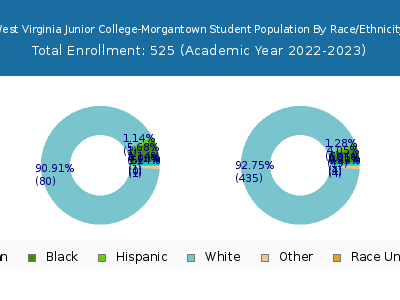 West Virginia Junior College-Morgantown 2023 Student Population by Gender and Race chart