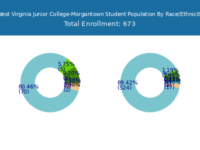 West Virginia Junior College-Morgantown 2025 Student Population by Gender and Race chart