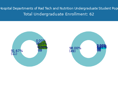 West Virginia University Hospital Departments of Rad Tech and Nutrition 2025 Undergraduate Enrollment by Gender and Race chart