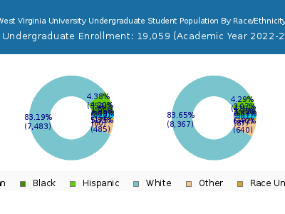 West Virginia University 2023 Undergraduate Enrollment by Gender and Race chart