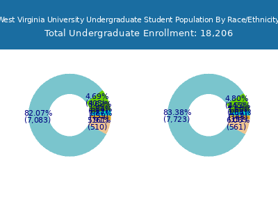 West Virginia University 2025 Undergraduate Enrollment by Gender and Race chart