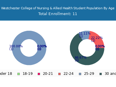 Westchester College of Nursing & Allied Health 2024 Student Population Age Diversity Pie chart