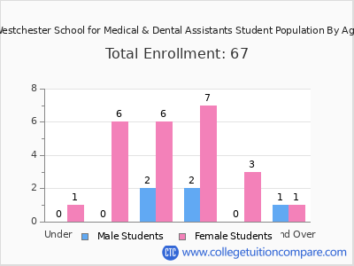 Westchester School for Medical & Dental Assistants 2024 Student Population by Age chart