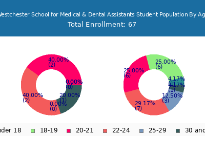 Westchester School for Medical & Dental Assistants 2024 Student Population Age Diversity Pie chart