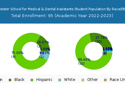 Westchester School for Medical & Dental Assistants 2023 Student Population by Gender and Race chart