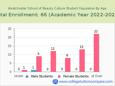Westchester School of Beauty Culture 2023 Student Population by Age chart