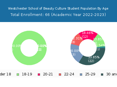 Westchester School of Beauty Culture 2023 Student Population Age Diversity Pie chart