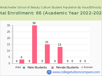 Westchester School of Beauty Culture 2023 Student Population by Gender and Race chart