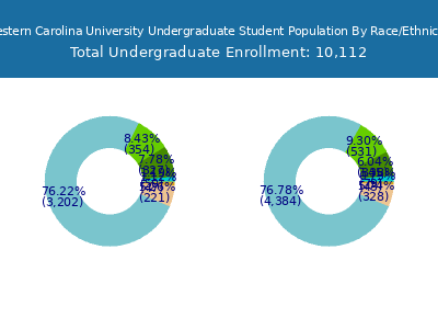 Western Carolina University 2025 Undergraduate Enrollment by Gender and Race chart