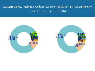 Western Dakota Technical College 2025 Student Population by Gender and Race chart