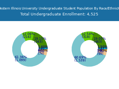 Western Illinois University 2025 Undergraduate Enrollment by Gender and Race chart