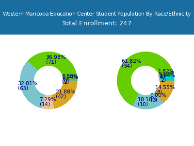 Western Maricopa Education Center 2025 Student Population by Gender and Race chart